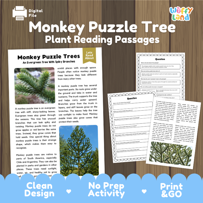 Monkey Puzzle Tree Plant Reading Passages and Comprehension Questions Worksheets