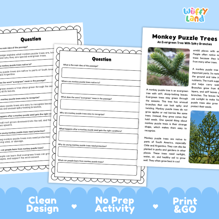 Monkey Puzzle Tree Plant Reading Passages and Comprehension Questions Worksheets