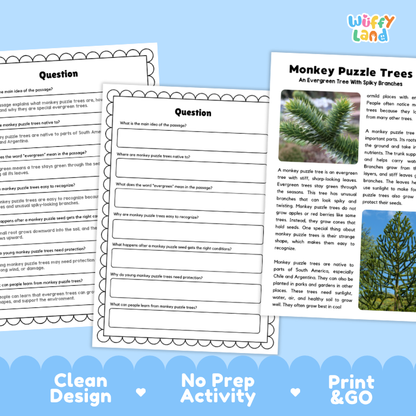 Monkey Puzzle Tree Plant Reading Passages and Comprehension Questions Worksheets