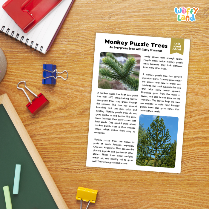 Monkey Puzzle Tree Plant Reading Passages and Comprehension Questions Worksheets