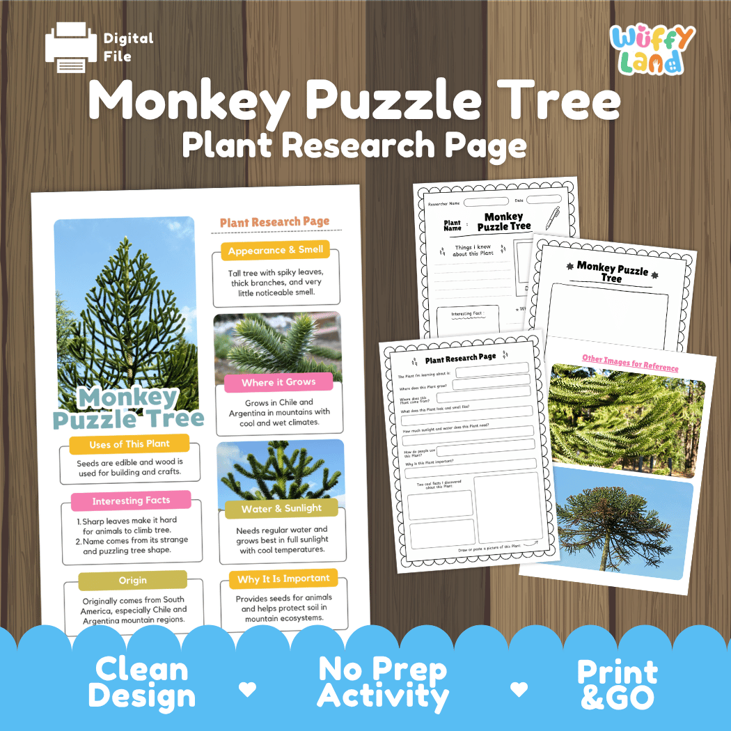 Monkey Puzzle Tree Plant Research Page Worksheets and Fact Sheet