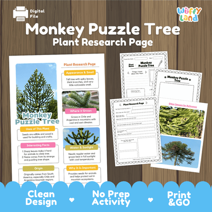 Monkey Puzzle Tree Plant Research Page Worksheets and Fact Sheet