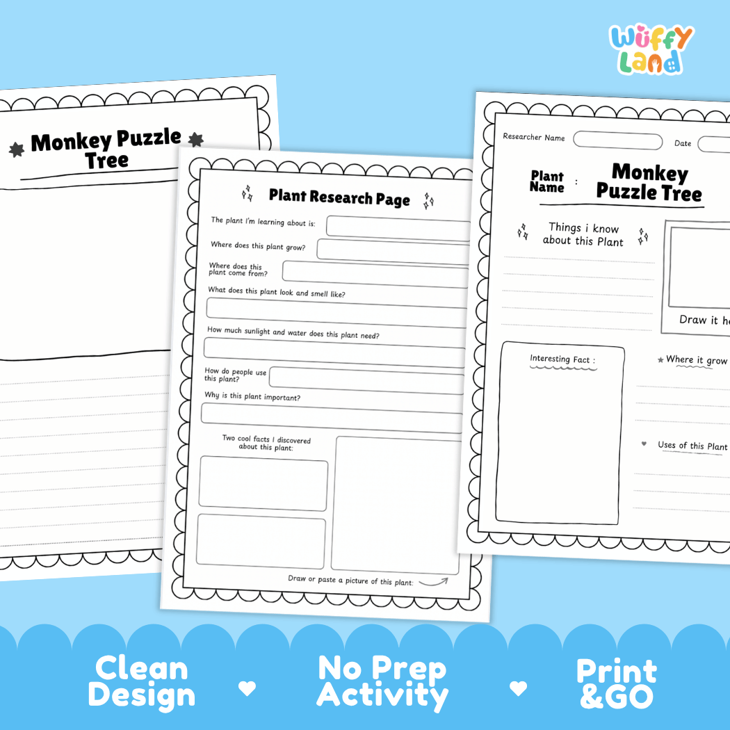 Monkey Puzzle Tree Plant Research Page Worksheets and Fact Sheet
