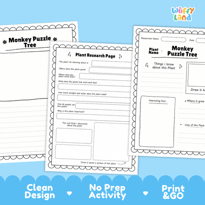 Monkey Puzzle Tree Plant Research Page Worksheets and Fact Sheet