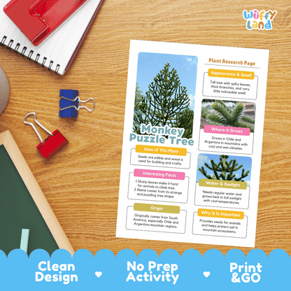 Monkey Puzzle Tree Plant Research Page Worksheets and Fact Sheet