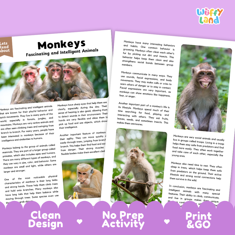 Monkeys Reading Passage and Comprehension Questions Worksheets with Answer Key