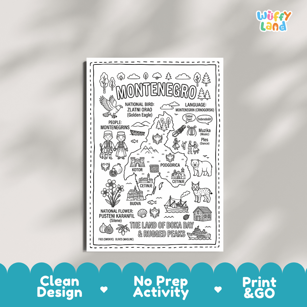 Educational activity coloring page highlighting Montenegro's national bird the Golden Eagle Zlatni Orao, Pusteni Karanfil flower, and Balkan lynx