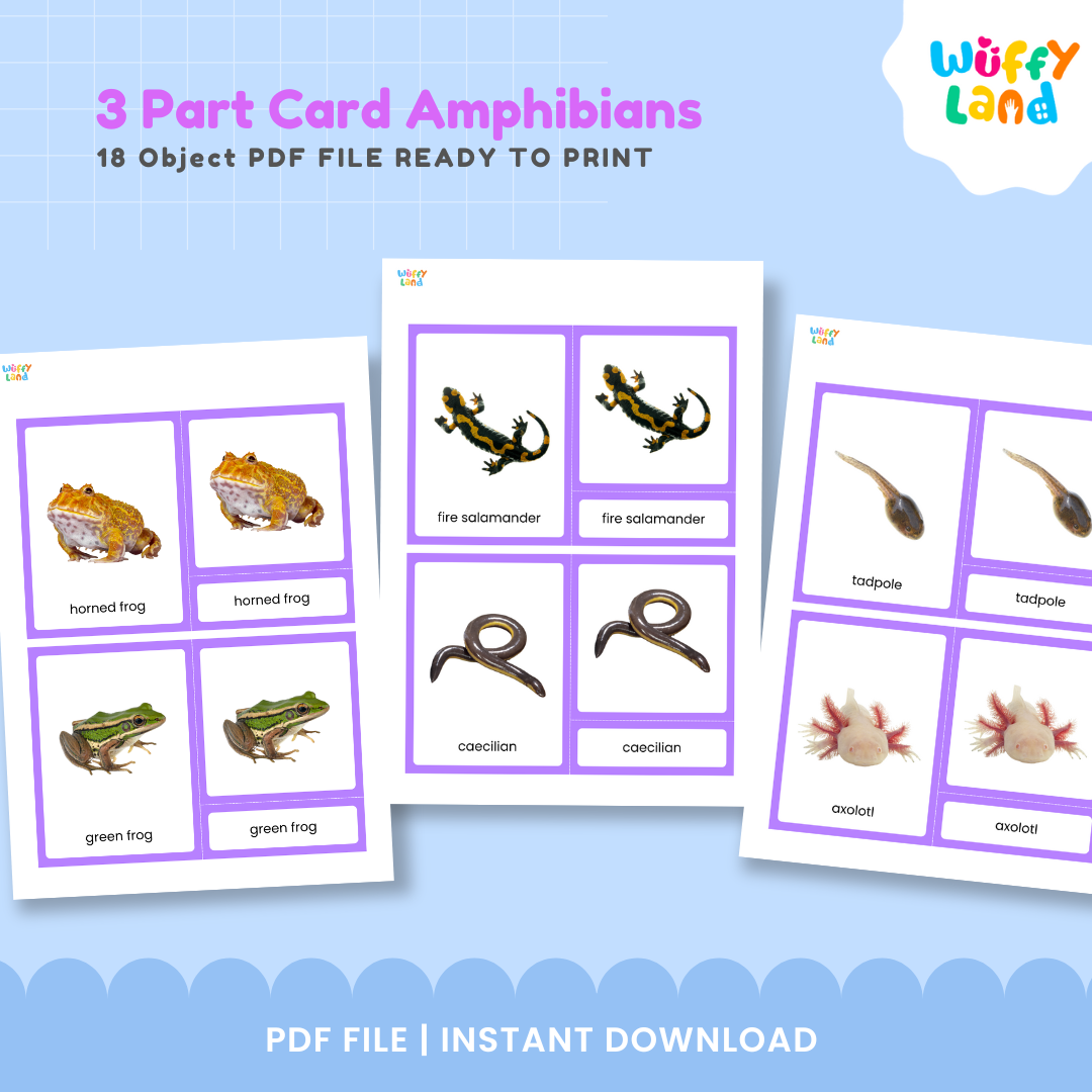 Montessori amphibian nomenclature cards with realistic frog and toad pictures for hands-on vocabulary learning