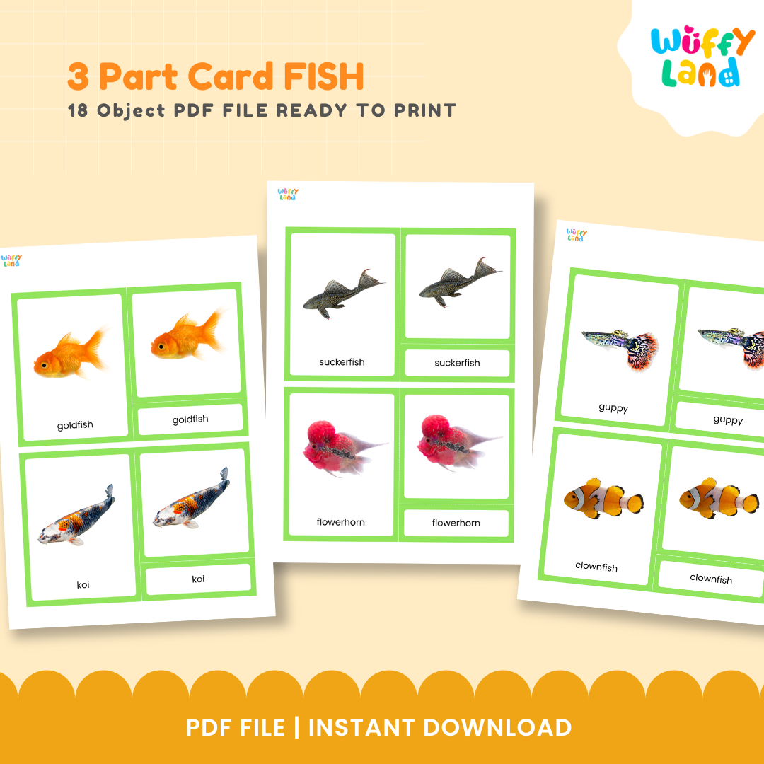 Montessori fish nomenclature cards with realistic fish pictures and labels for hands-on vocabulary learning