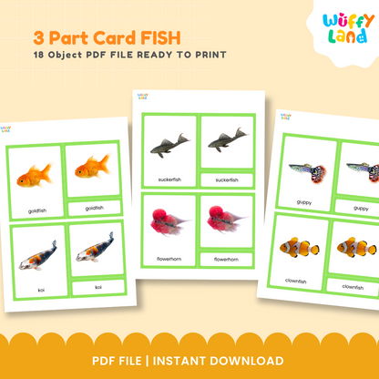 Montessori fish nomenclature cards with realistic fish pictures and labels for hands-on vocabulary learning