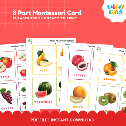 Printable fruit learning cards layout showing separate picture cards, word labels, and control cards for orange and kiwi 🍊🥝
