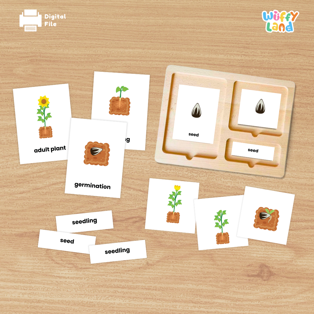 Wooden Montessori three-part card tray displaying sunflower seed picture card, label tag, and control card for hands-on matching 🪵🏷️
