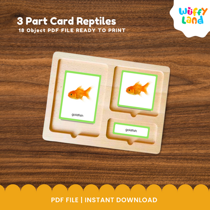 Montessori zoology fish cards featuring goldfish, shark, tilapia, koi and other fish for animal classification activities