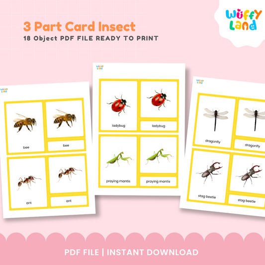 Montessori zoology insect cards featuring butterfly, beetle, mosquito, grasshopper and other insects for classification activities