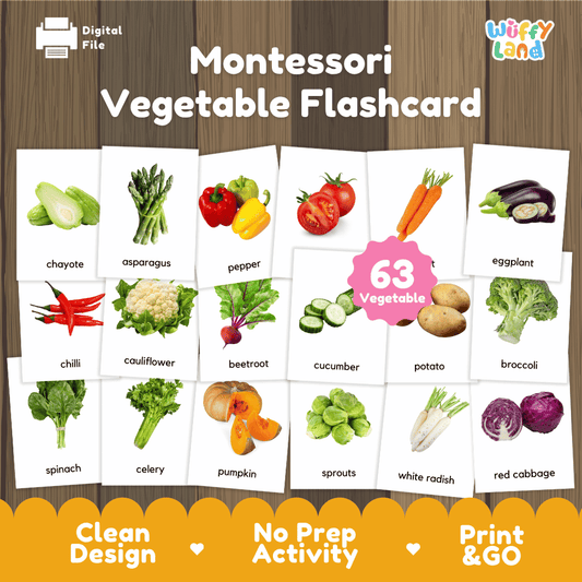 Montessori Vegetable Flashcard | 45 Realistic Fruit Vocabulary Printable Activity