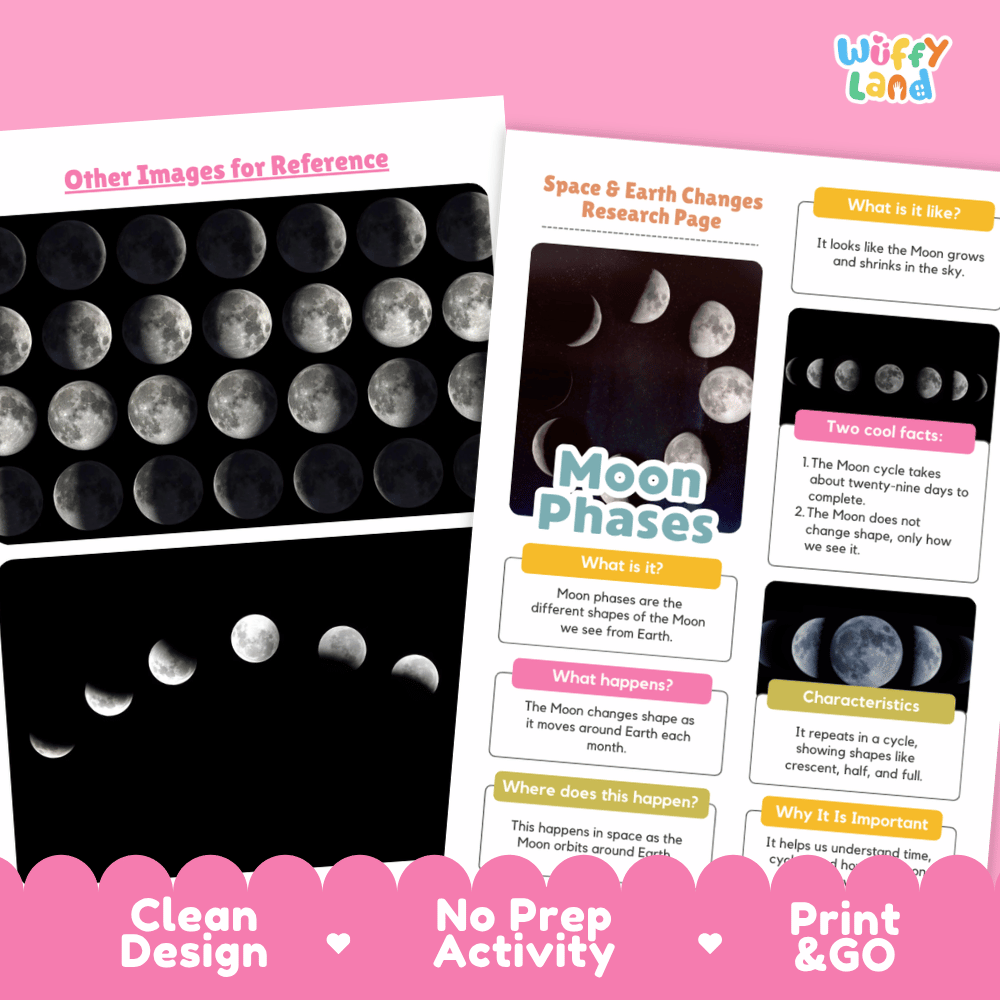 A moon phases educational activity sheet from Wiffly Land, displayed on a pink background. The sheet features a moon phase sequence, informational text boxes, and a reference image section.