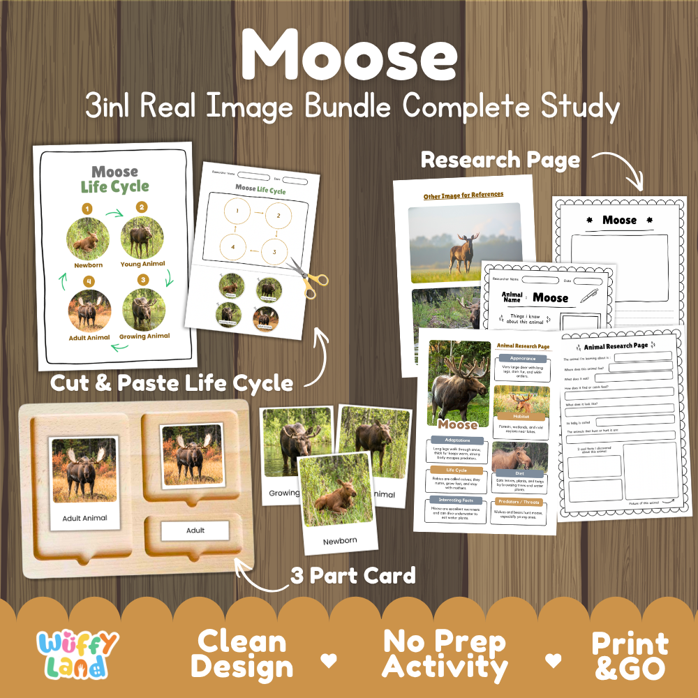 Moose 3-in-1 real image bundle complete study cover showing cut and paste life cycle, 3 part cards, and research pages