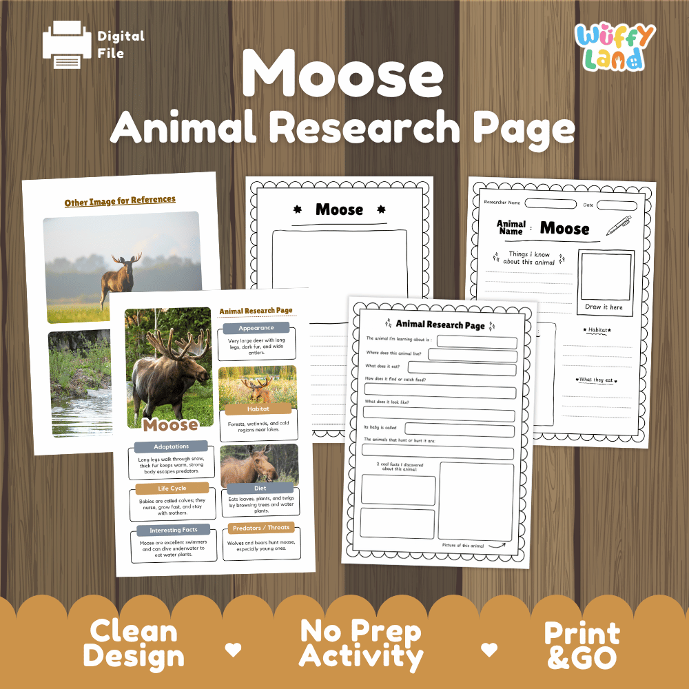 Moose Animal Research Page Worksheets