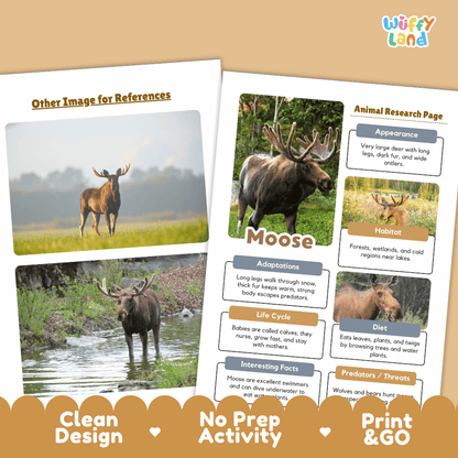 Moose Animal Research Page Worksheets