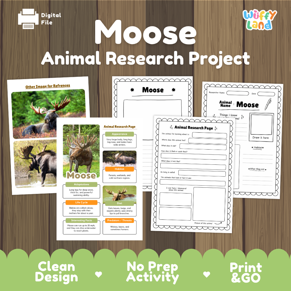 Moose Animal Research Project Worksheets and Fact Sheet