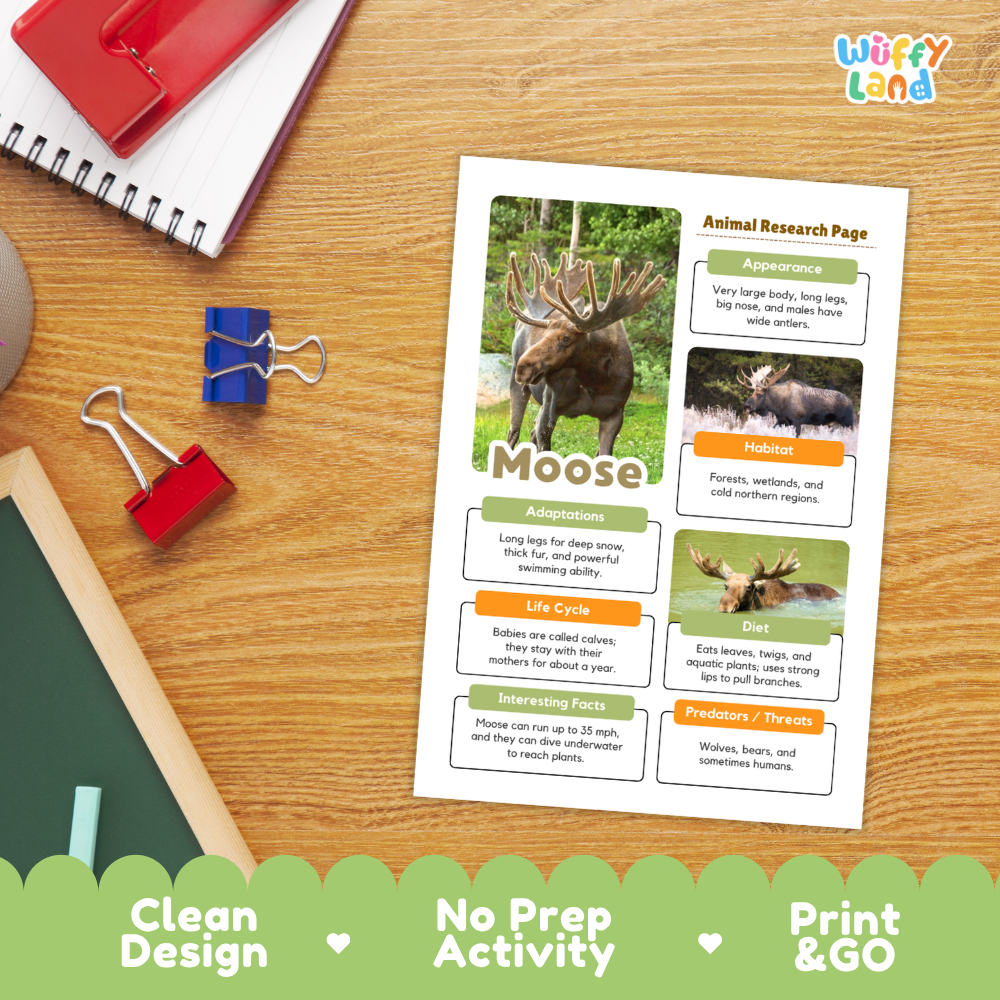 Moose Animal Research Project Worksheets and Fact Sheet