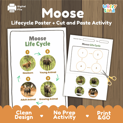 Moose Life Cycle Poster and Cut and Paste Activity Worksheets