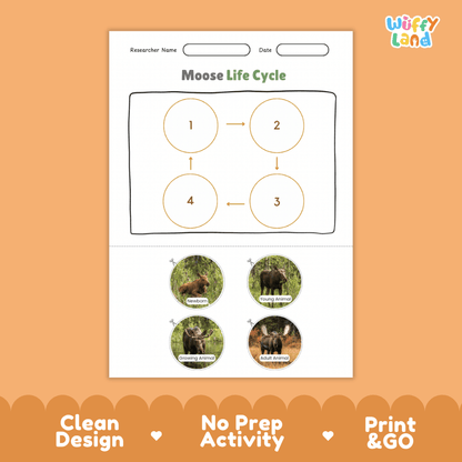 Moose Life Cycle Poster and Cut and Paste Activity Worksheets
