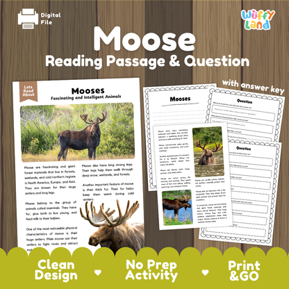 Moose Reading Passage and Comprehension Questions Worksheets