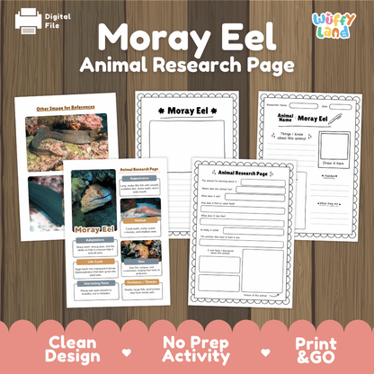 Moray Eel Animal Research Page Worksheets and Fact Sheet Activity
