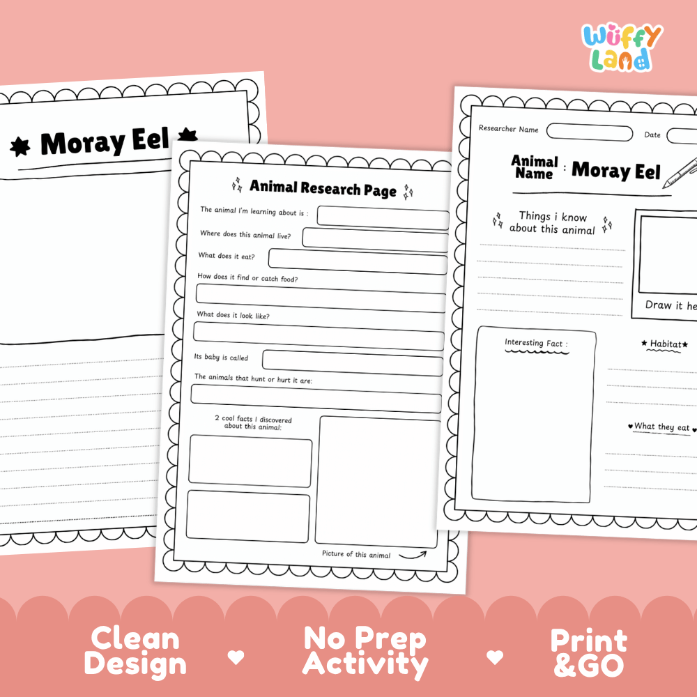 Moray Eel Animal Research Page Worksheets and Fact Sheet Activity
