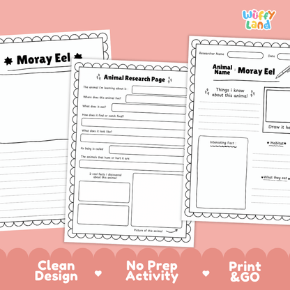 Moray Eel Animal Research Page Worksheets and Fact Sheet Activity