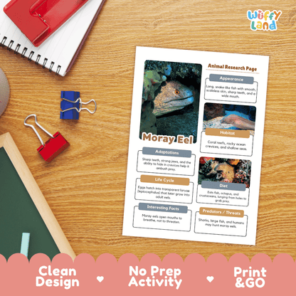 Moray Eel Animal Research Page Worksheets and Fact Sheet Activity