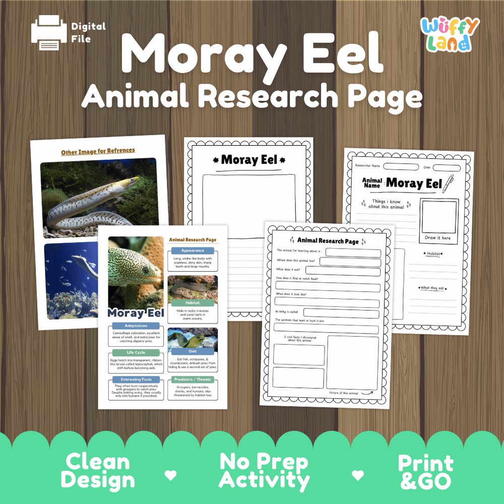 Moray Eel Animal Research Project Graphic Organizers and Fact Sheet