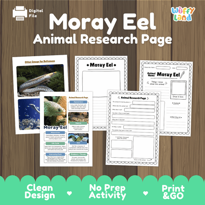 Moray Eel Animal Research Project Graphic Organizers and Fact Sheet