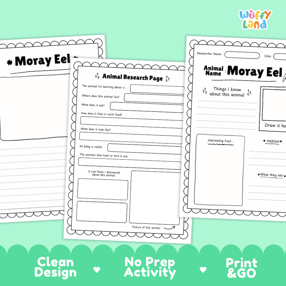 Three printable worksheet pages for an animal research project titled 'Moray Eel' are shown on a mint green background with marketing text at the bottom. The sheets are white with black text and decorative scalloped borders.