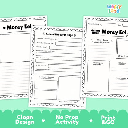 Three printable worksheet pages for an animal research project titled 'Moray Eel' are shown on a mint green background with marketing text at the bottom. The sheets are white with black text and decorative scalloped borders.