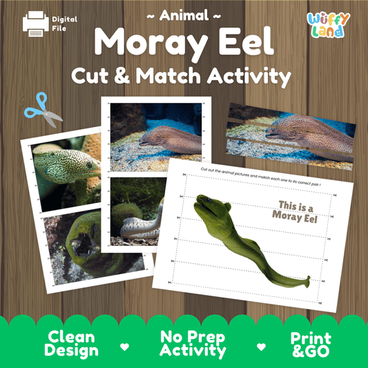 Moray Eel Cut and Match Activity Worksheets | Ocean Animal Puzzle Printables