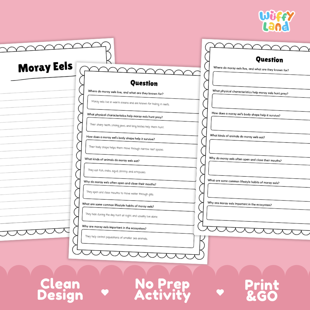 Three printable educational activity sheets for Moray Eels displayed on a pink background with decorative text reading 'Clean Design', 'No Prep Activity', and 'Print & GO'. The sheets are white with black text and scalloped borders, and the brand name 'Wiffi Land' appears in the top right.