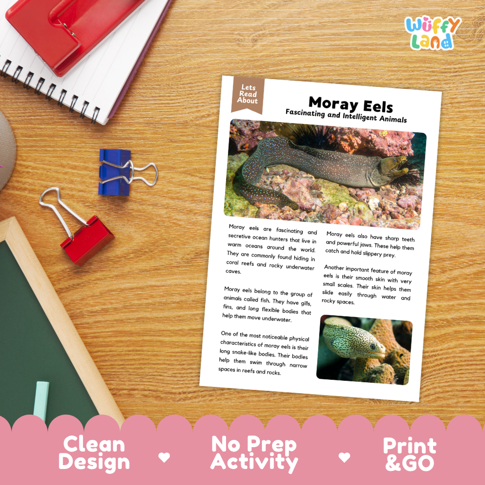 An educational activity sheet about 'Moray Eels' displayed on a wooden desk with school supplies. The sheet features a title, descriptive text, and two photos of moray eels.