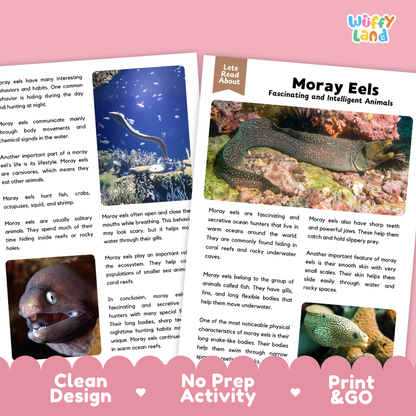 Educational activity sheet titled 'Moray Eels Fascinating and Intelligent Animals' from the brand 'Wiffly Land', featuring text, a color-coded fact box, a small illustration, and a photo of moray eels. The sheet is presented on a pink background with a decorative bottom banner reading 'Clean Design', 'No Prep Activity', and 'Print & GO'.