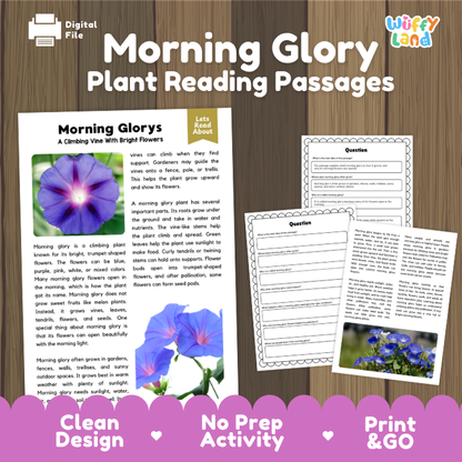 Morning Glory Plant Reading Passages and Comprehension Questions Worksheets