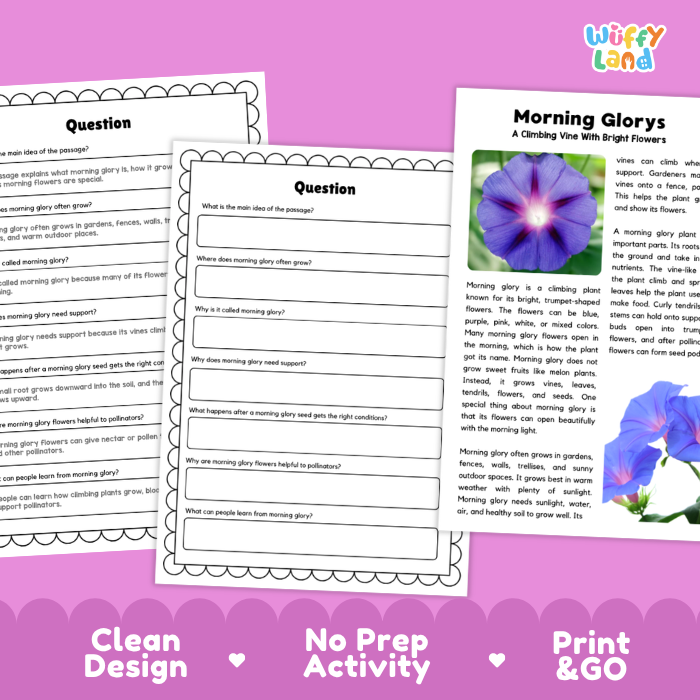 Morning Glory Plant Reading Passages and Comprehension Questions Worksheets