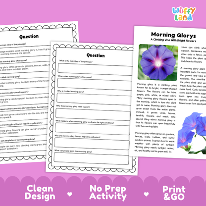 Morning Glory Plant Reading Passages and Comprehension Questions Worksheets