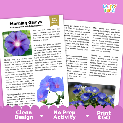 Morning Glory Plant Reading Passages and Comprehension Questions Worksheets