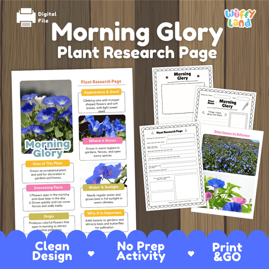 Student plant research page writing worksheets with real close up trumpet shaped blue morning glory flowers, lined note-taking prompts, and drawing frames