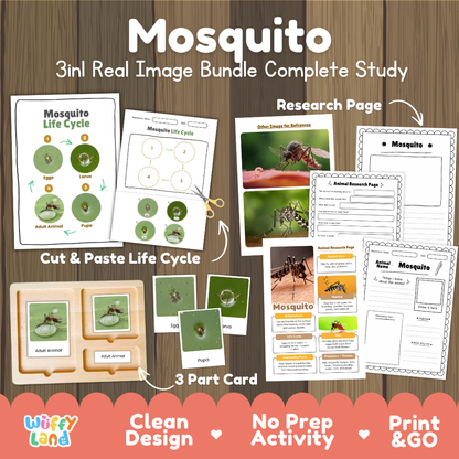 Mosquito 3-in-1 real image bundle complete study cover showing cut and paste life cycle, 3 part cards, and research pages