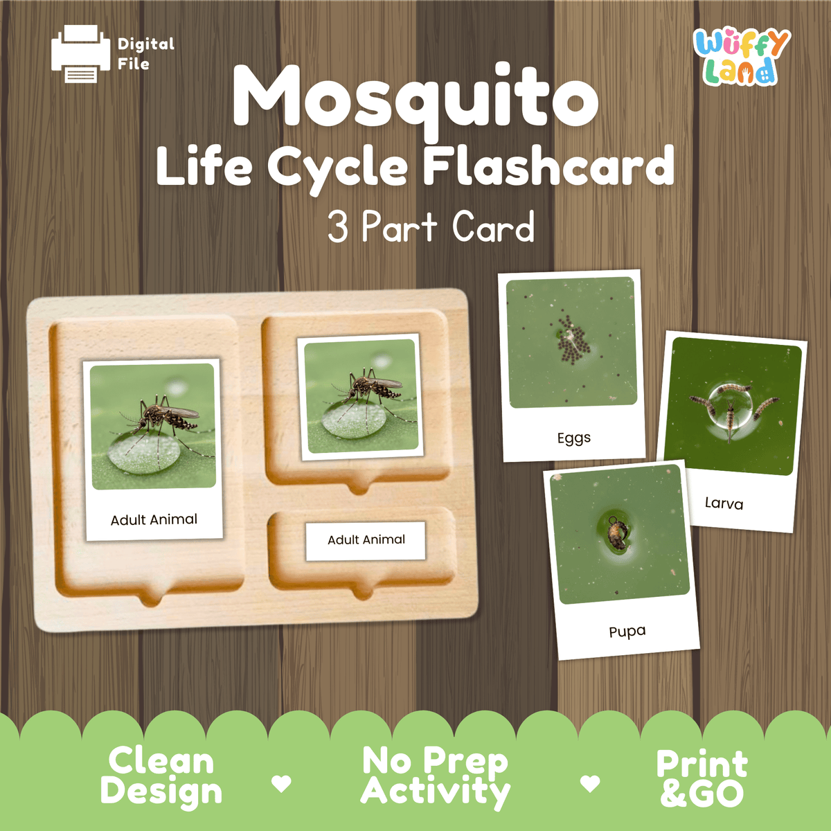 Montessori 3-part photo cards for mosquito life cycle shown on wooden tray paired with animal research report worksheets and reference photo page