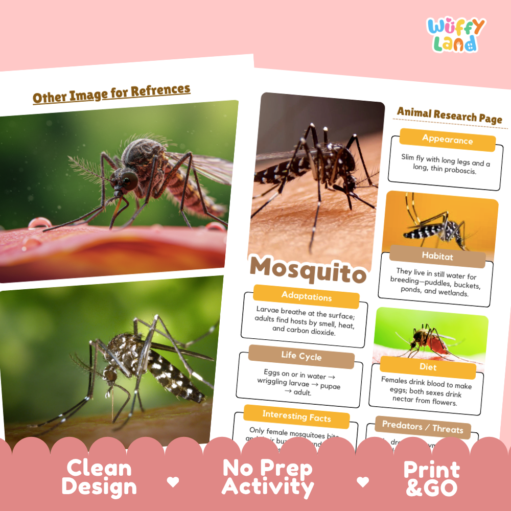 Educational mosquito fact sheet and reference card set from Wiffly Land, featuring a mosquito reference photo, an animal research page about mosquitoes, and a pink decorative banner with text reading 'Other Image for References,' 'Clean Design,' 'No Prep Activity,' and 'Print & GO.'.