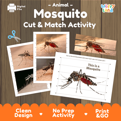 Mosquito Cut and Match Activity Printables Worksheets
