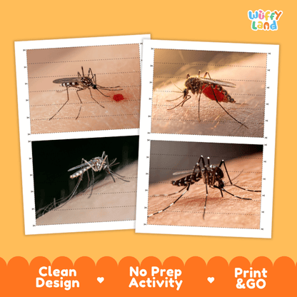 Mosquito Cut and Match Activity Printables Worksheets